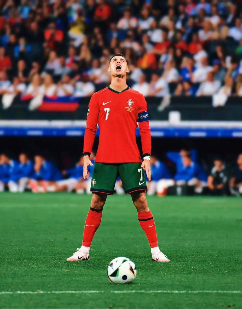 在普维尔的 在普维尔的