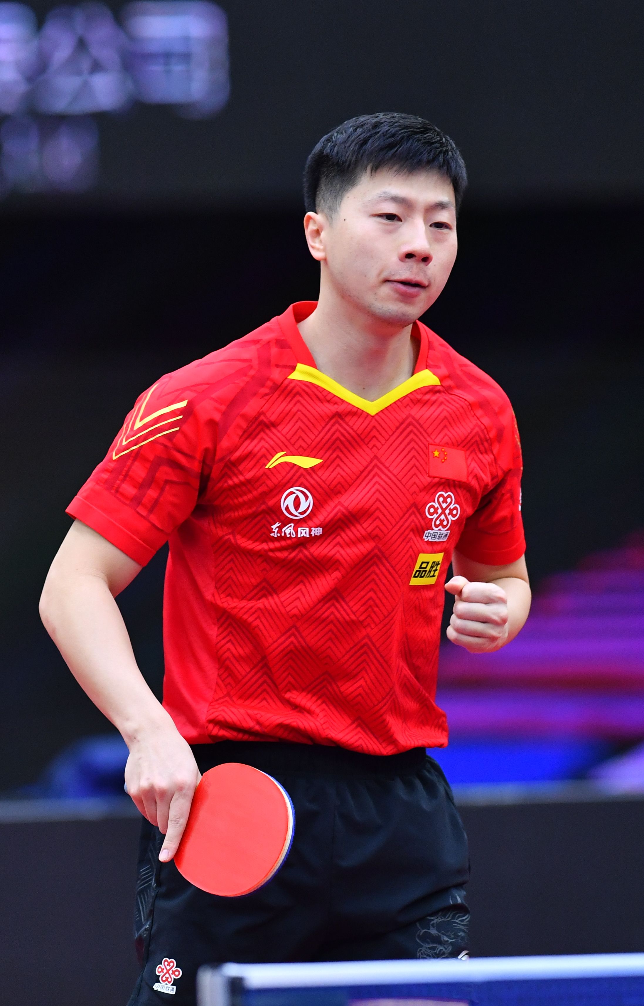 LGD大鹅